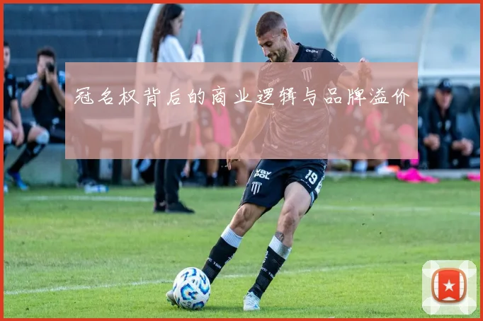 冠名权背后的商业逻辑与品牌溢价