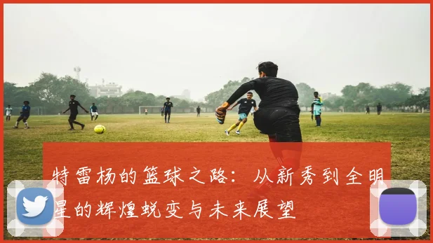 特雷杨的篮球之路：从新秀到全明星的辉煌蜕变与未来展望