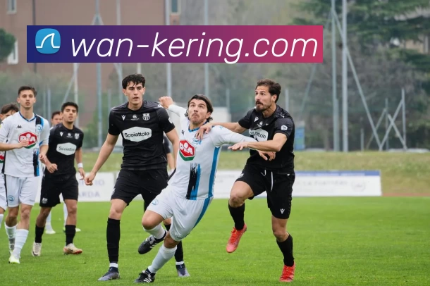 开云官网平台生态图